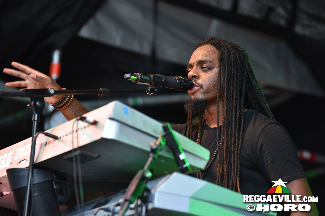 Nature Ellis & New Kingston