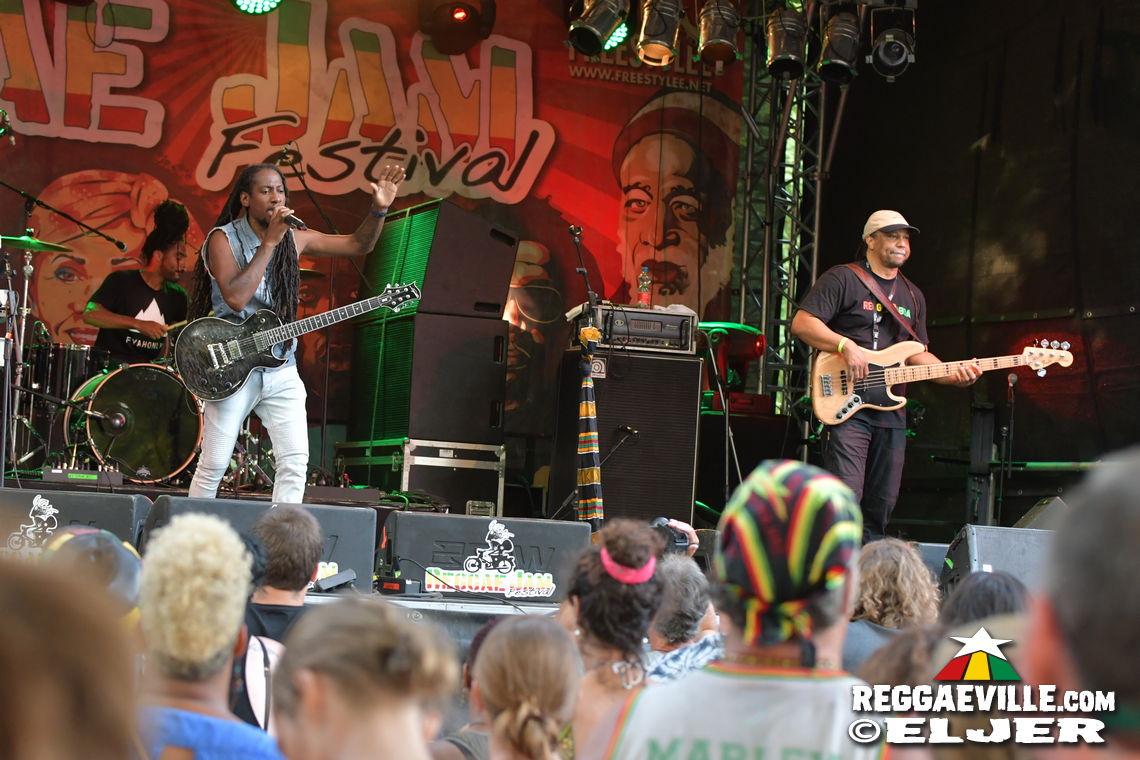 Nature Ellis & New Kingston