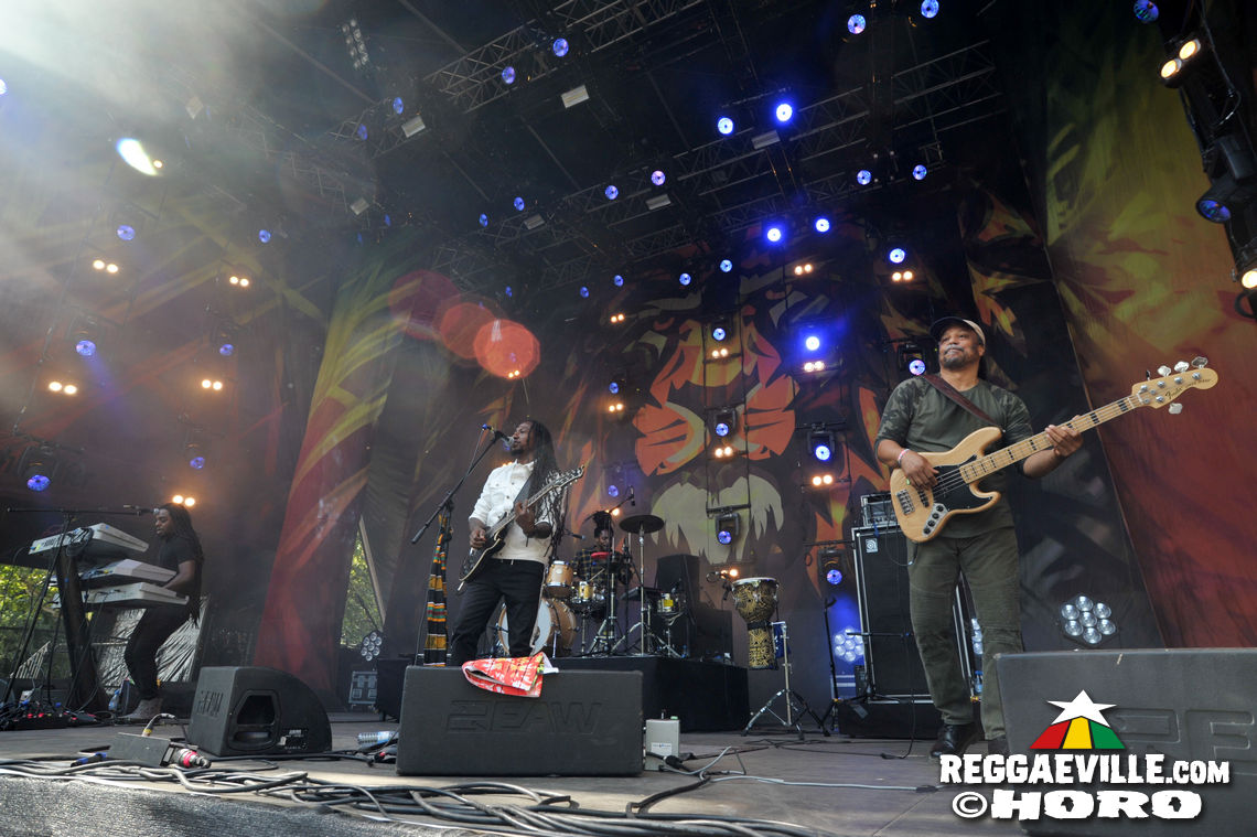 New Kingston & Schwarzpaul