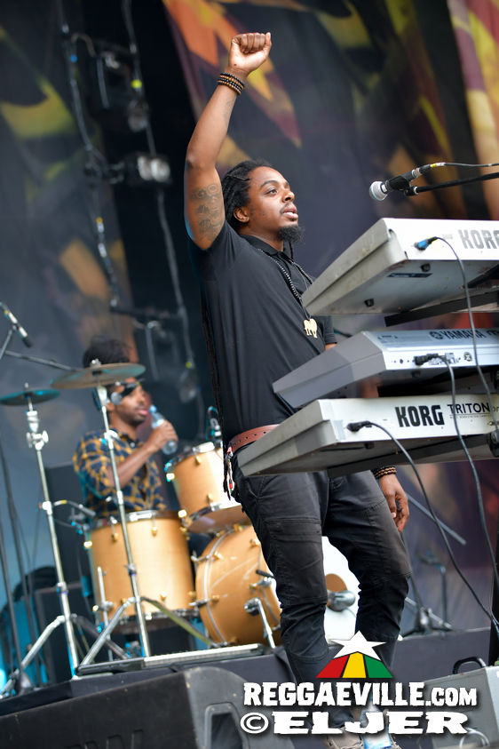 New Kingston & Schwarzpaul