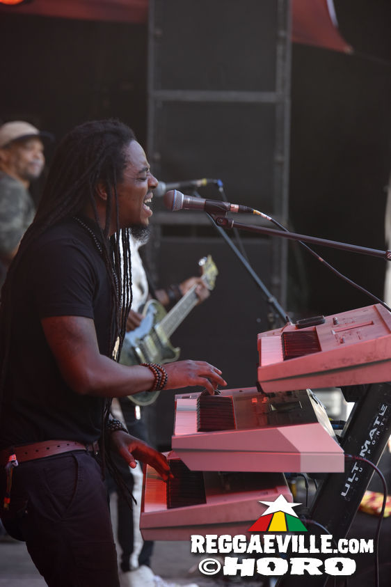 New Kingston & Schwarzpaul