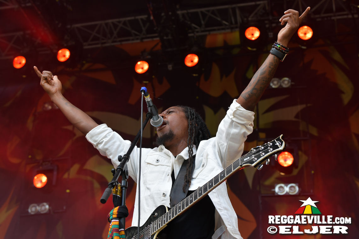 New Kingston & Schwarzpaul