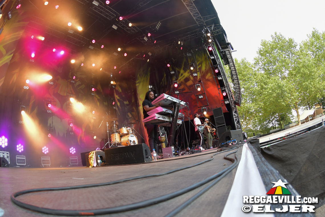 New Kingston & Schwarzpaul