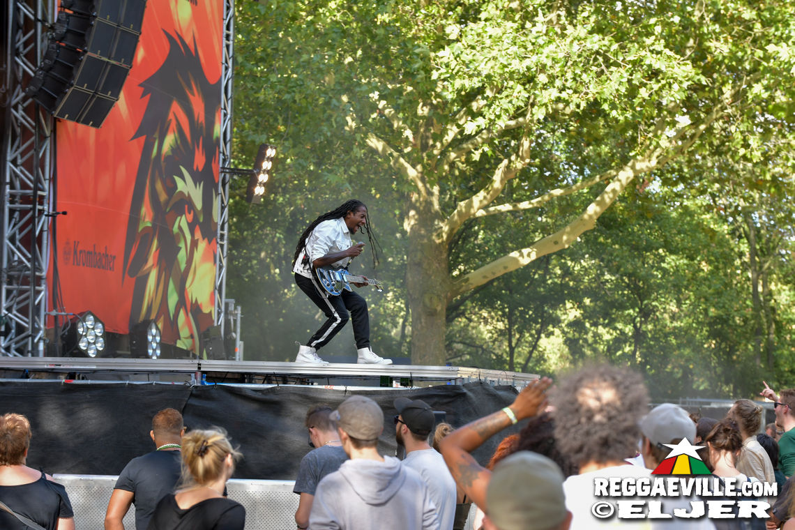 New Kingston & Schwarzpaul