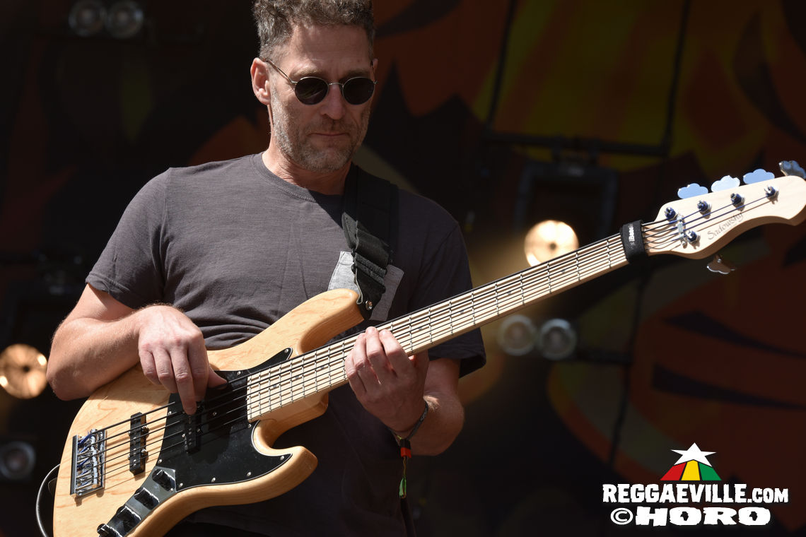 New Kingston & Schwarzpaul