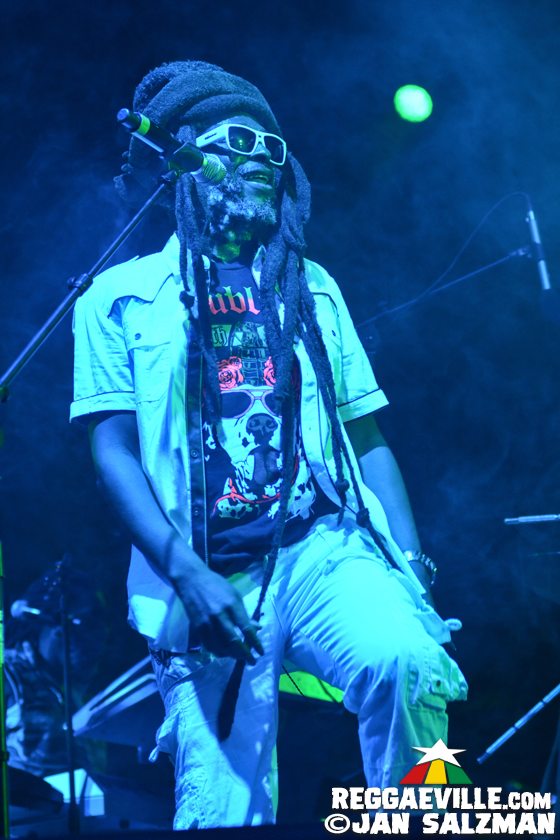 The Wailers, Steel Pulse, Long Beach Dub All Stars, 311 & Dirty Heads @ One Love Cali Reggae Fest 2017