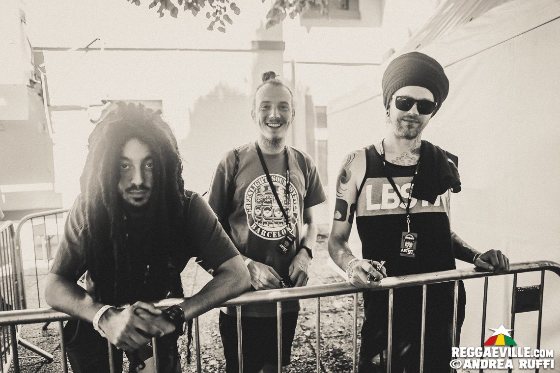 Festival Vibes