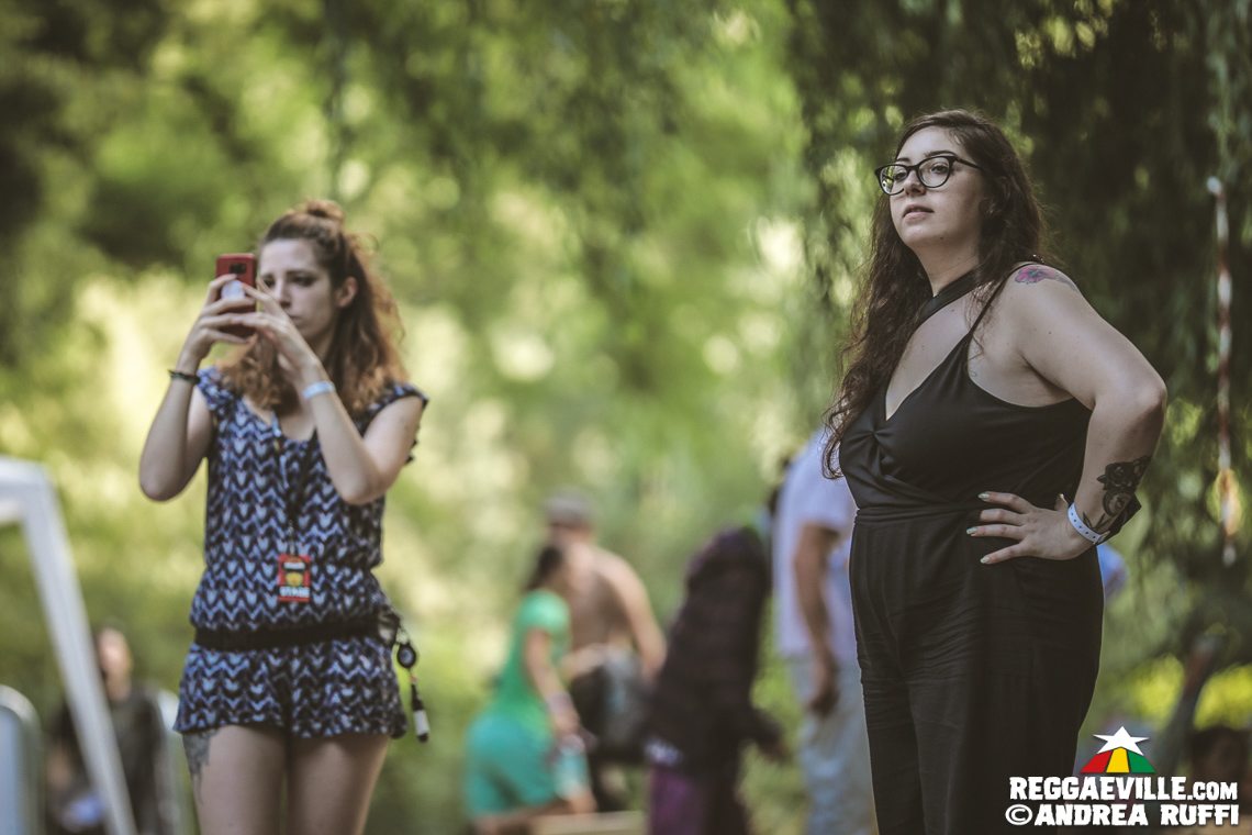 Festival Vibes