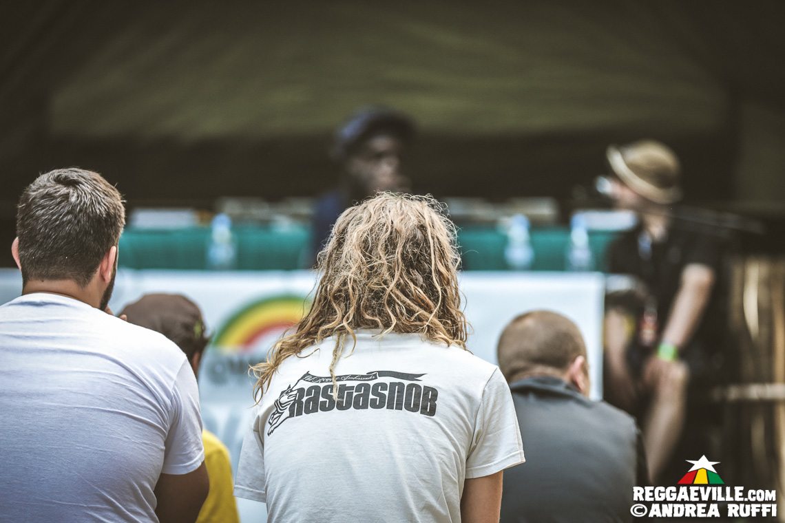 Festival Vibes