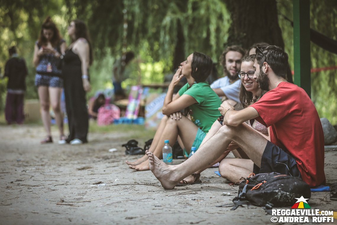 Festival Vibes