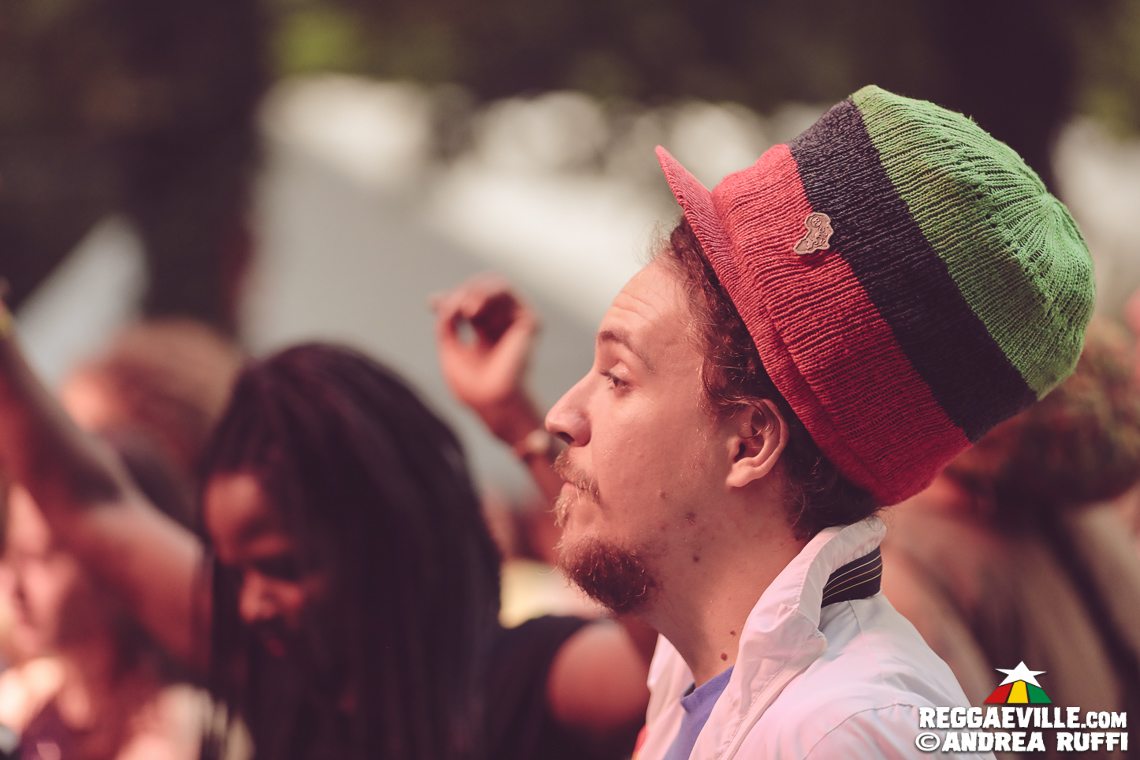 Festival Vibes