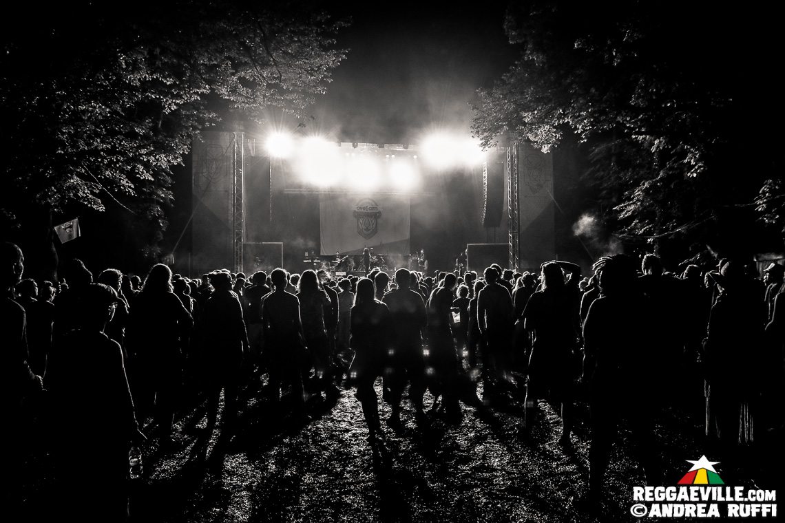 Festival Vibes