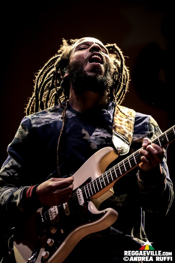 Ziggy Marley, New Kingston, Earth Beat Movement, Pokyman & Lukie FWD