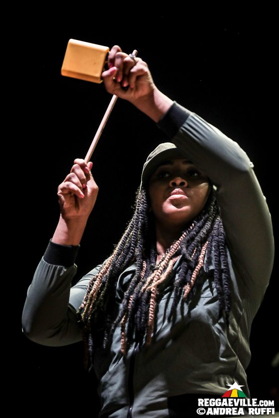 Ziggy Marley, New Kingston, Earth Beat Movement, Pokyman & Lukie FWD