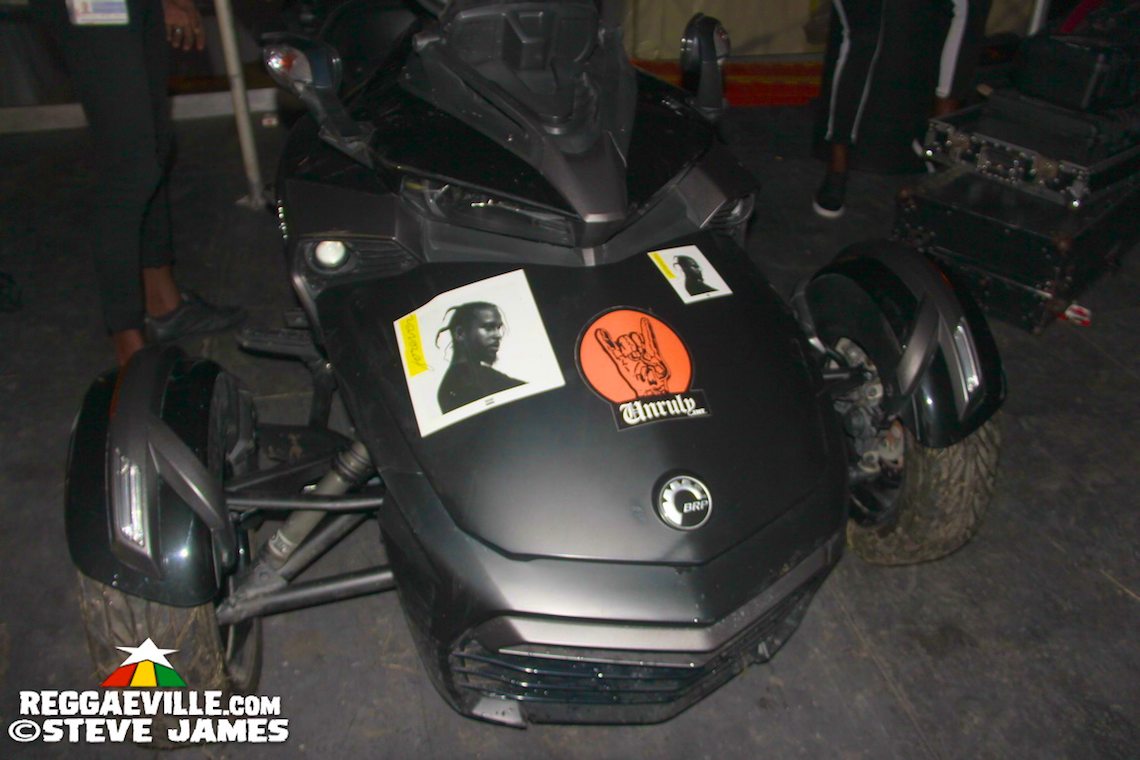 Agent Sasco, Wayne Marshall, Tanya Stephens, Bushman