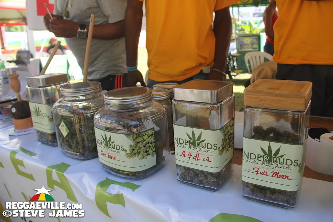 Rastafari Rootz Fest - Ganjamaica Cup in Negril, Jamaica 2016