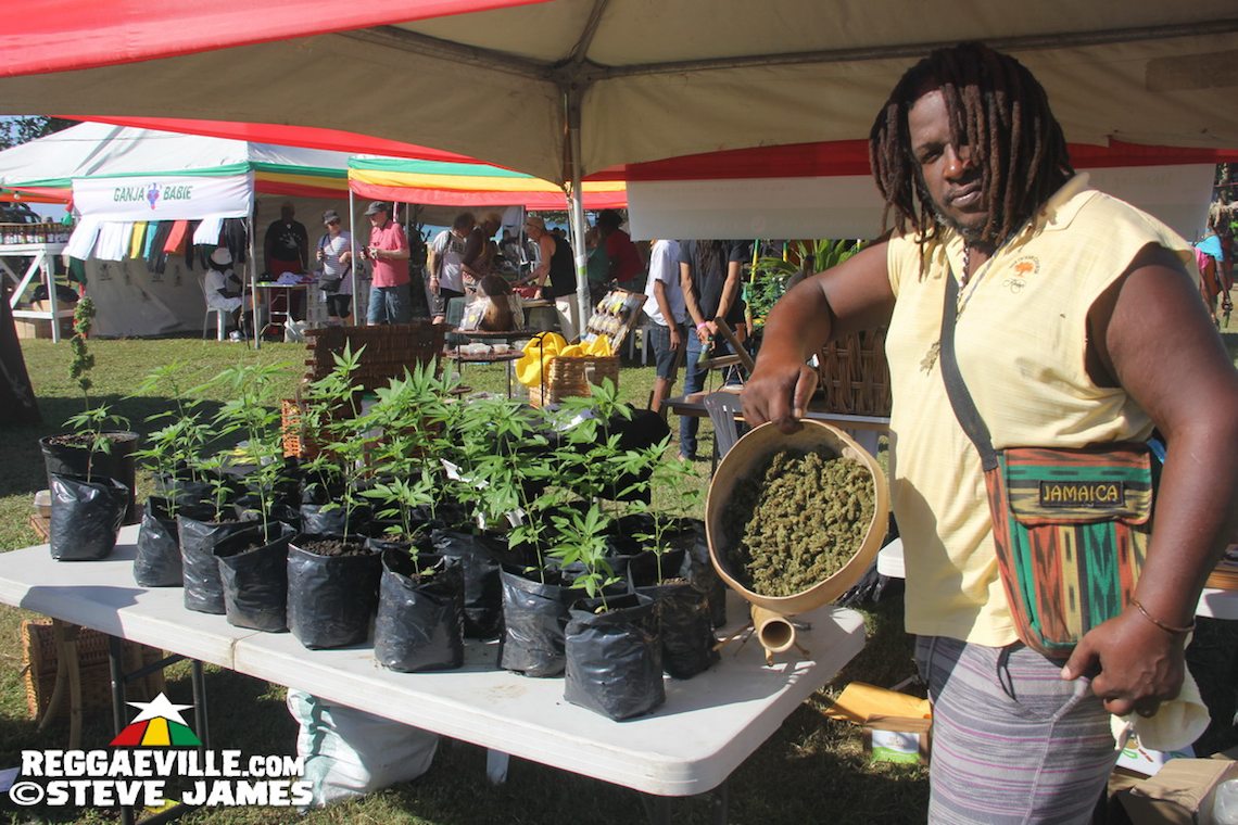 Rastafari Rootz Fest - Ganjamaica Cup in Negril, Jamaica 2016 12/09/2016.