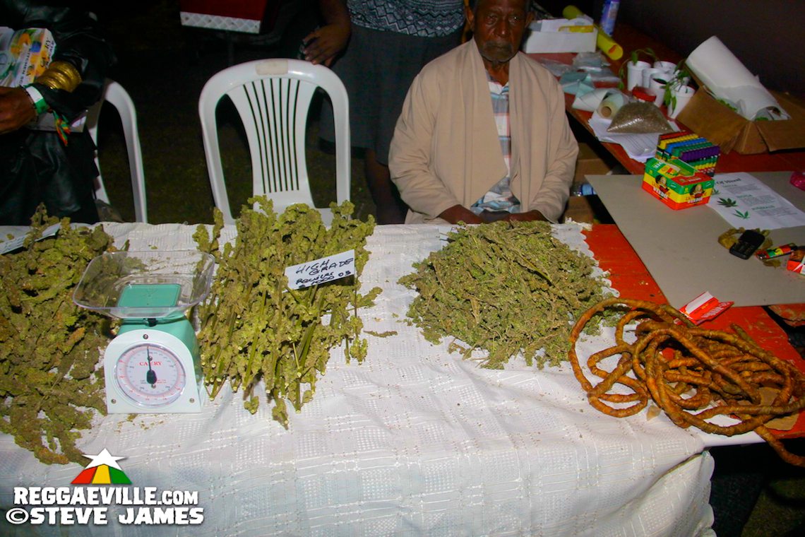 Vibes - Day One @ Rebel Salute 2017