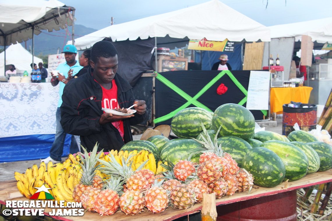 Vibes - Day One @ Rebel Salute 2017