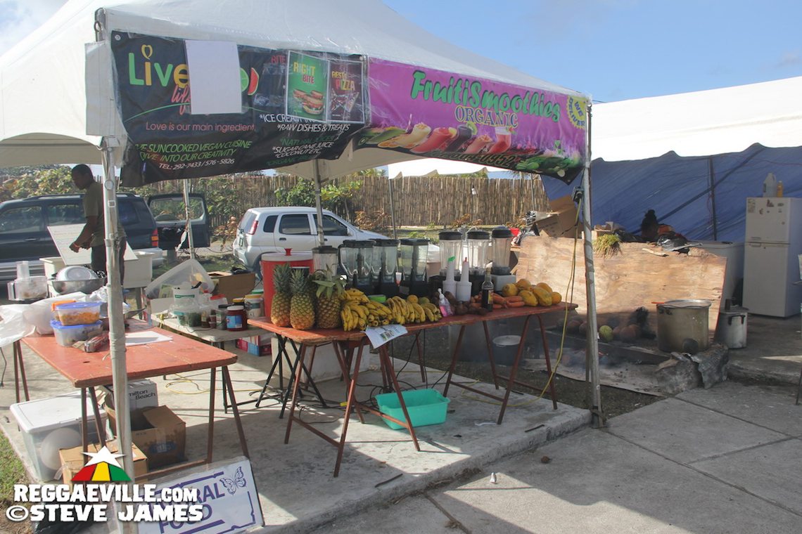 Vibes - Day One @ Rebel Salute 2017