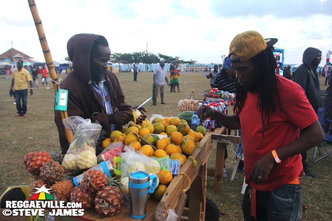 Vibes - Day Two @ Rebel Salute 2017