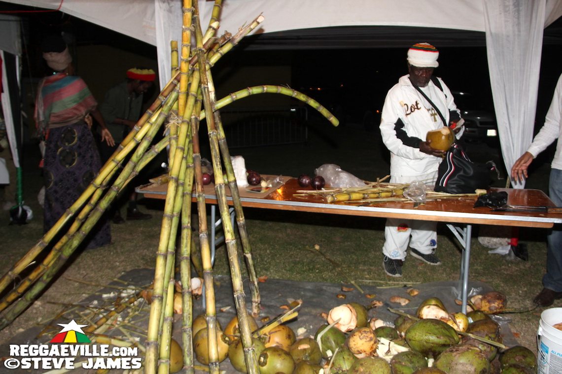 Richie Spice, Mr.Vegas, Keznamdi, Koro Fyah and more...
