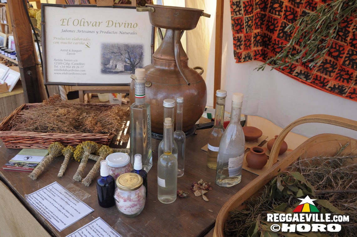 Vibes - Impressions @ Rototom Sunsplash 2017