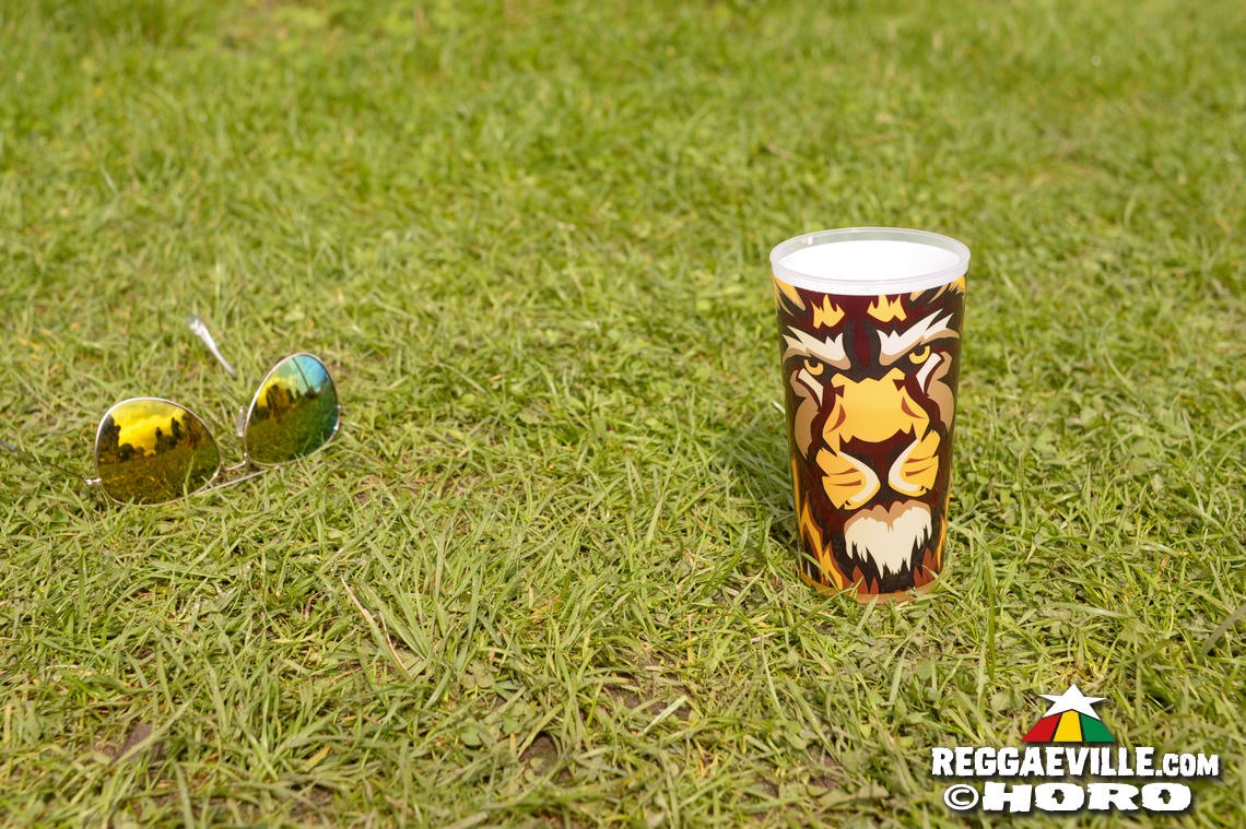 Vibes @ Ruhr Reggae Summer 2017