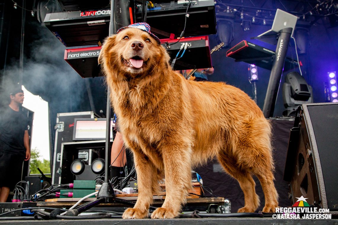 Slightly Stoopid, Stick Figure & Pepper