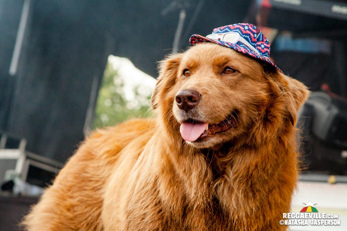 Slightly Stoopid, Stick Figure & Pepper