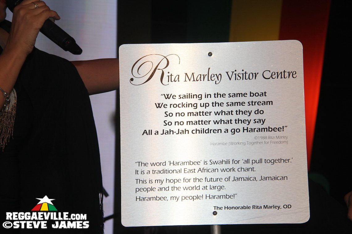 Vibes @ Smile Jamaica Concert 2016