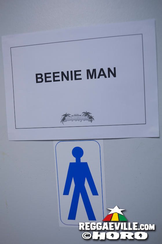 Vibes @ SummerJam 2017