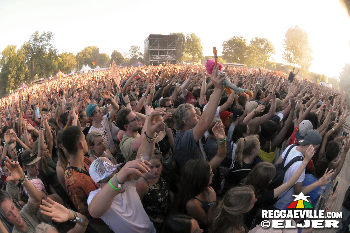 Memoria, Trettmann & The Skints