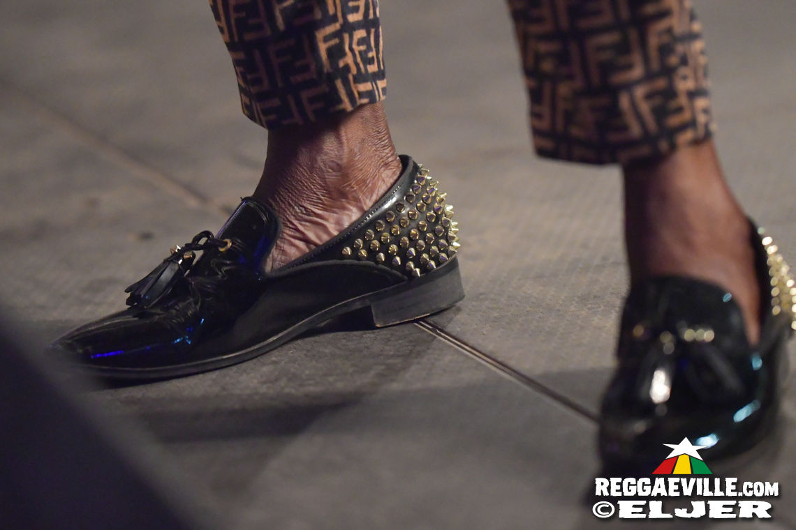 Beenie Man with special guest Gentleman