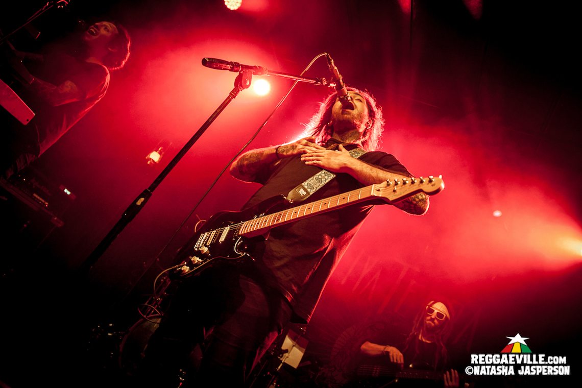 Iya Terra, The Reis Brothers, For Peace Band