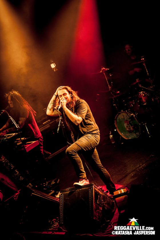 Iya Terra, The Reis Brothers, For Peace Band