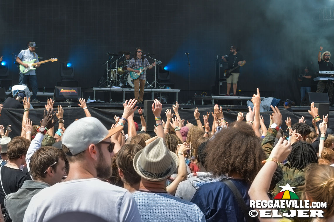 Jimmy Cliff & Tribal Seeds