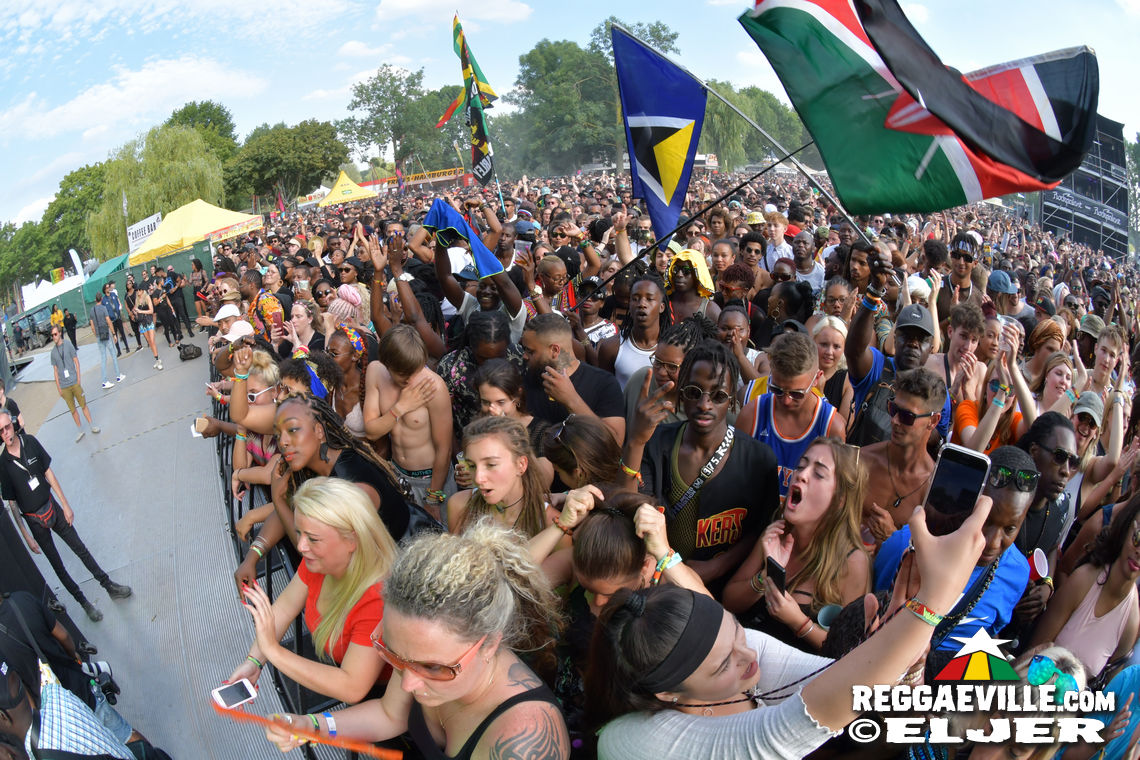 Koffee & Banda Senderos