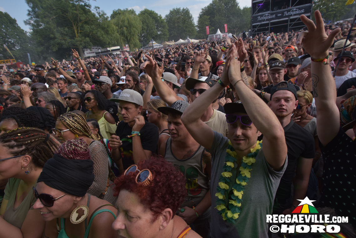 Koffee & Banda Senderos