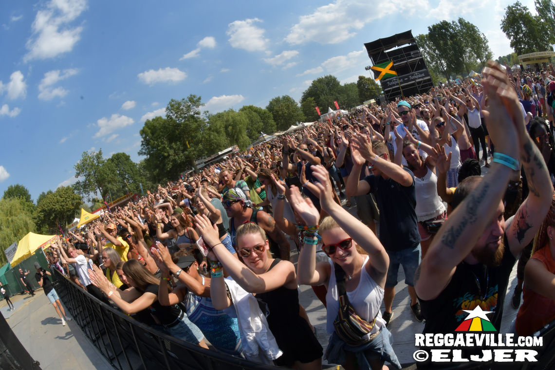 Koffee & Banda Senderos