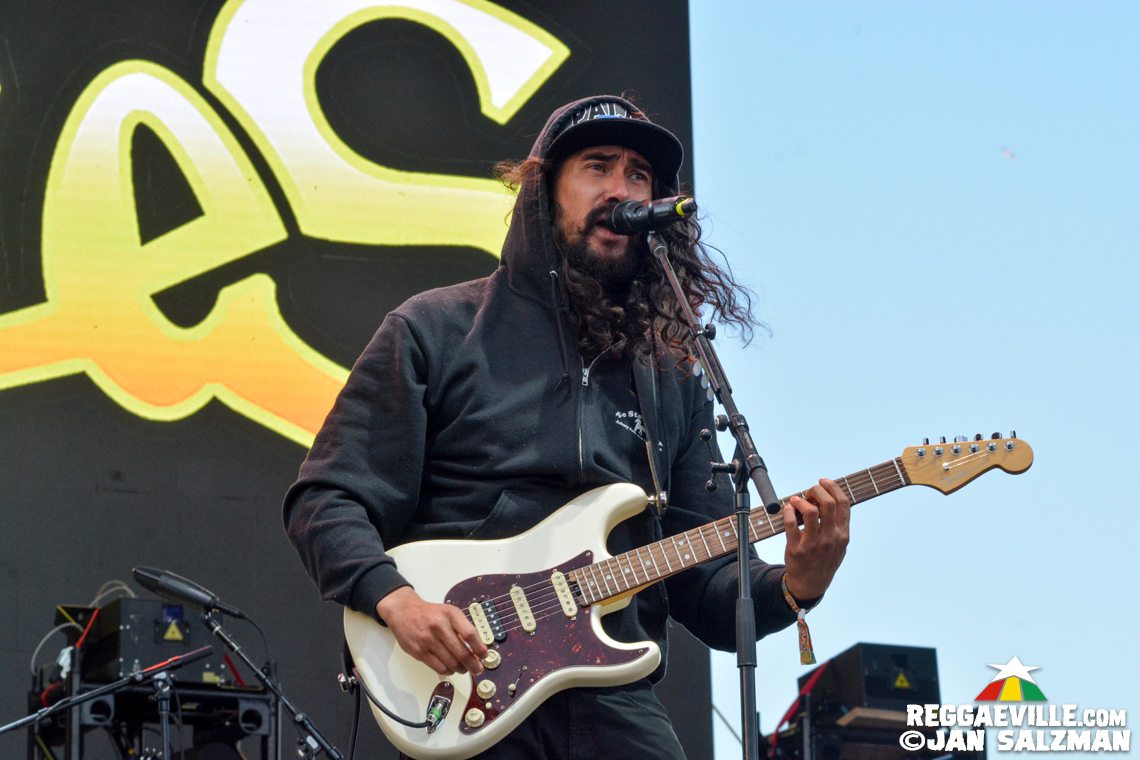 Don Carlos, The Expendables, Pepper & Tribal Seeds