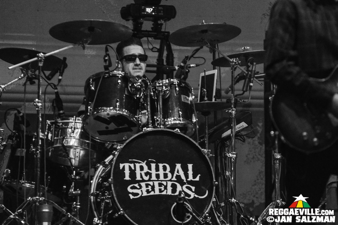 Don Carlos, The Expendables, Pepper & Tribal Seeds