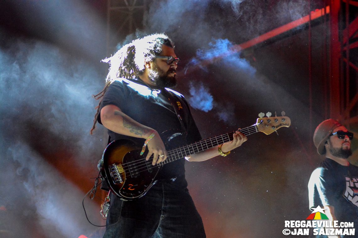Don Carlos, The Expendables, Pepper & Tribal Seeds