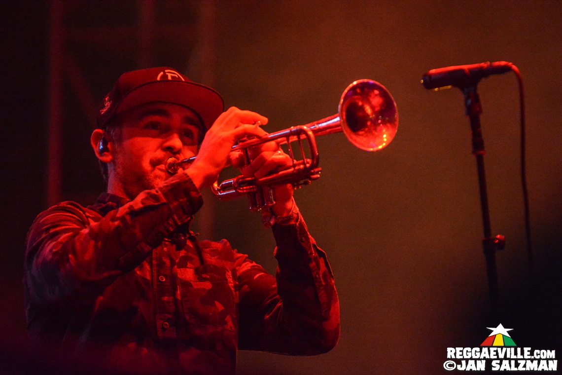 Don Carlos, The Expendables, Pepper & Tribal Seeds
