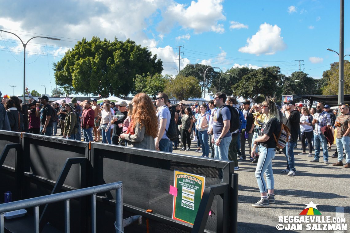 Ital Vibes & The Expanders