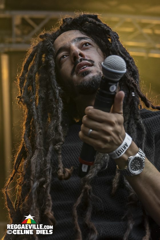 Dezarie, Mellow Mood, New Kingston, Utan Green & Frontliners