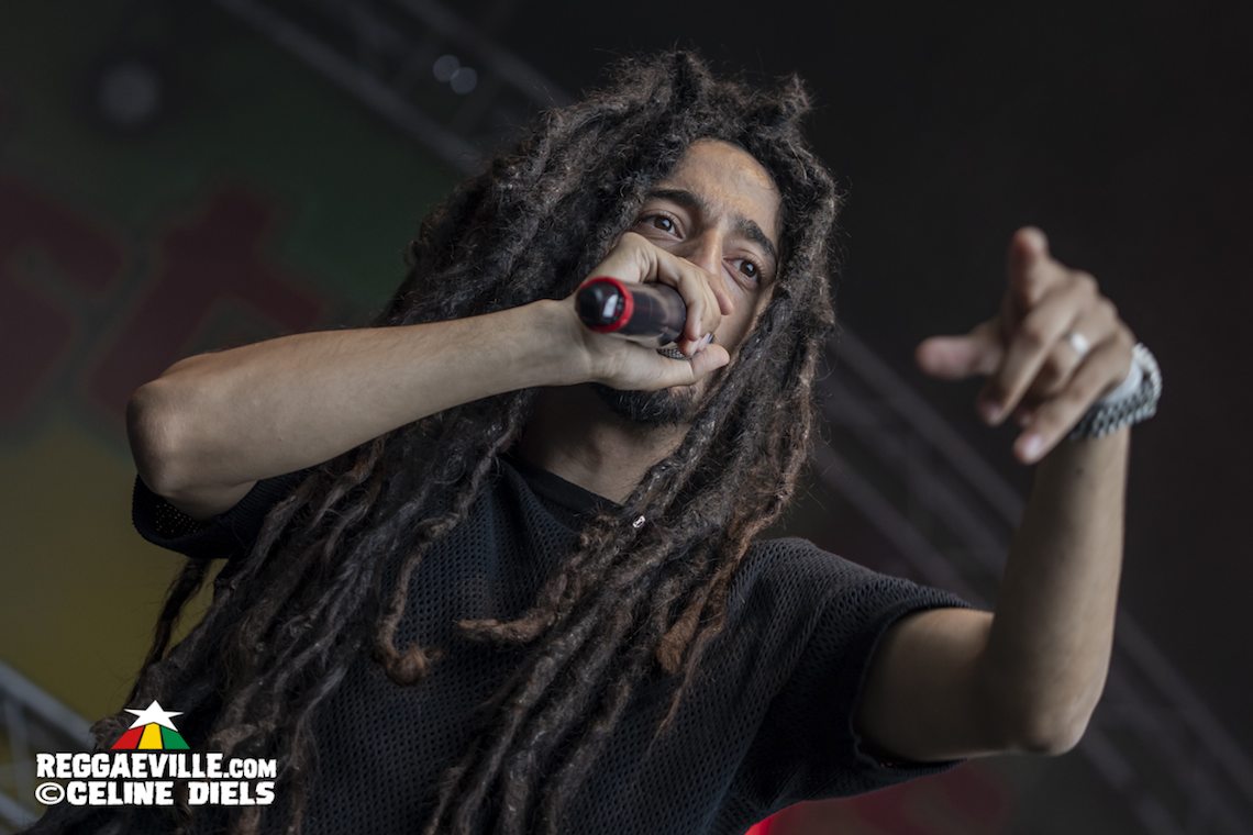 Dezarie, Mellow Mood, New Kingston, Utan Green & Frontliners
