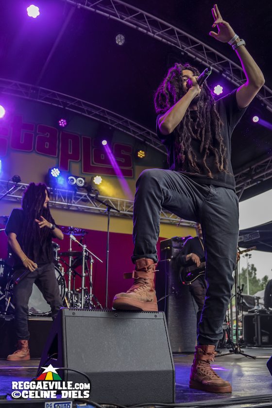 Dezarie, Mellow Mood, New Kingston, Utan Green & Frontliners