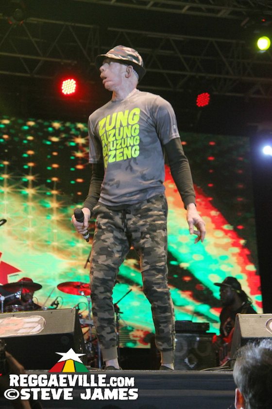 Yellowman, Horace Andy, Chalice, Half Pint, Leroy Smart, Ken Boothe