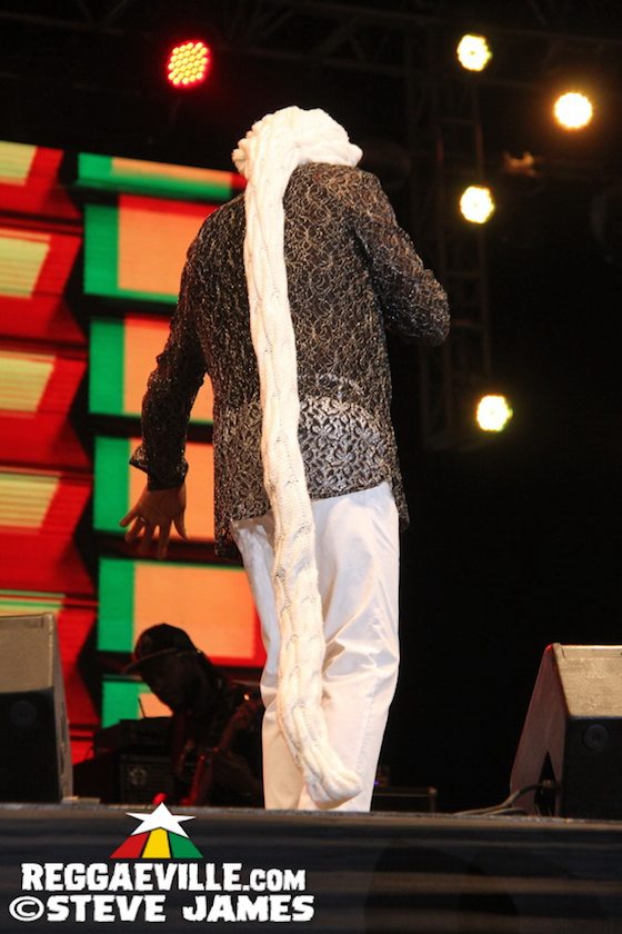 Yellowman, Horace Andy, Chalice, Half Pint, Leroy Smart, Ken Boothe